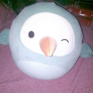 14 in Shoni Squishmallows Winking Dodo